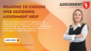 The Assignment Help