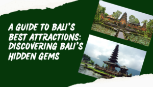 trip to bali | Edtechreader