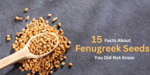 15 Facts About Fenugreek Seeds | edtechreader