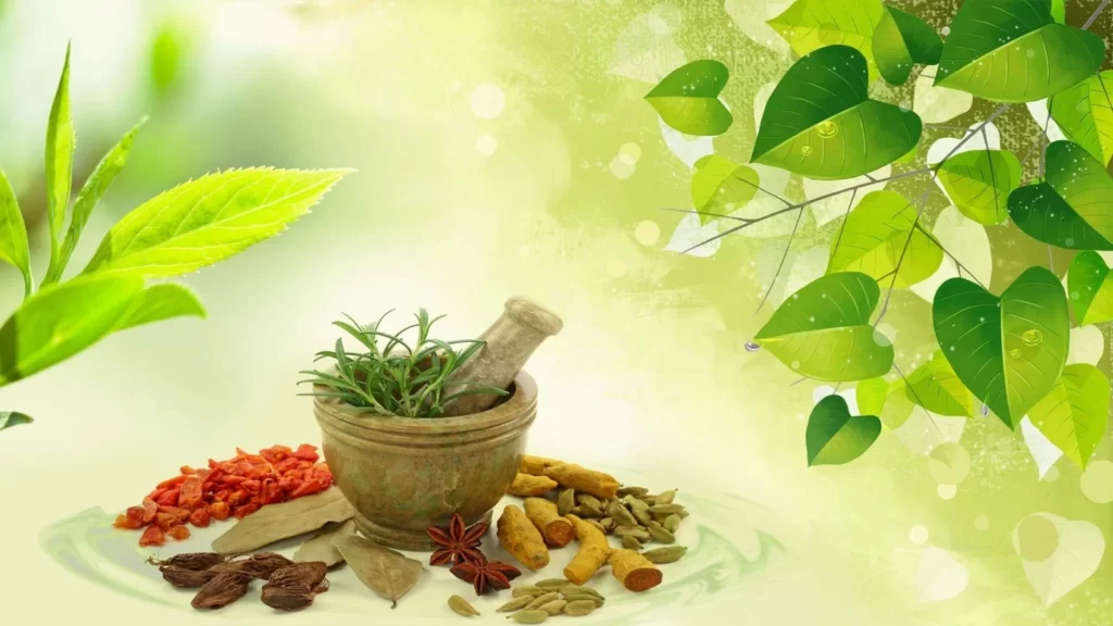 Top 10 Ayurvedic Companies Franchise in Chandigarh | edtechreader