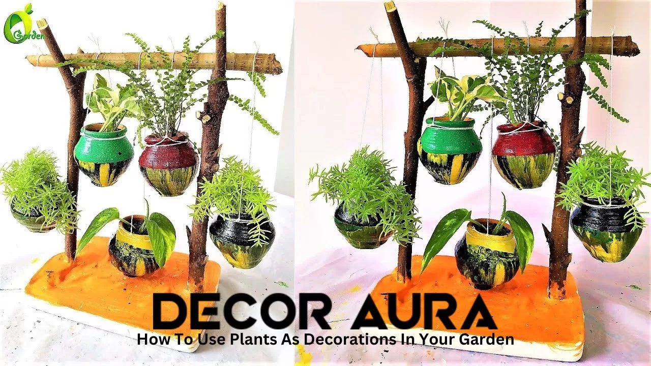 How Decor Aura Use Plants As Decorations In Your Garden | edtechreader