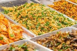 Maggots Eat Fat Man | edtechreader