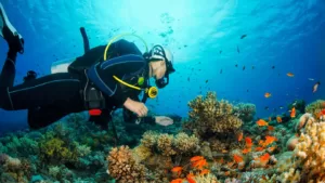 Gili Selang Dive Site | edtechreader