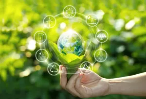 Exploring The Carbon Series: The Future Of Sustainability | edtechreader