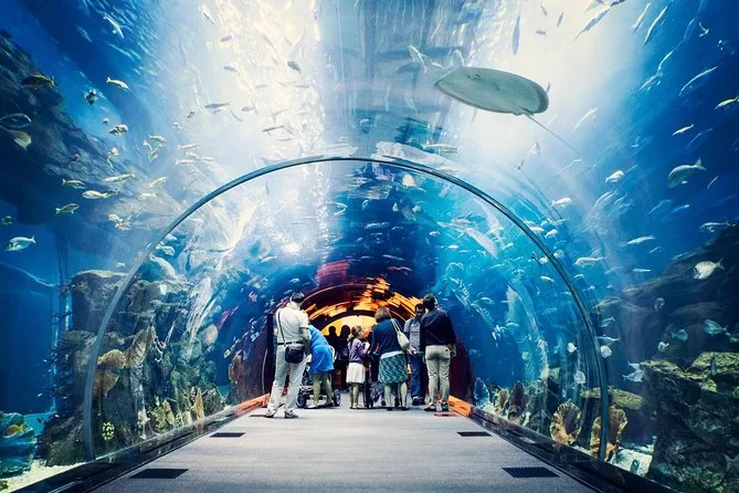 Dubai Aquarium & Underwater Zoo | edtechreader