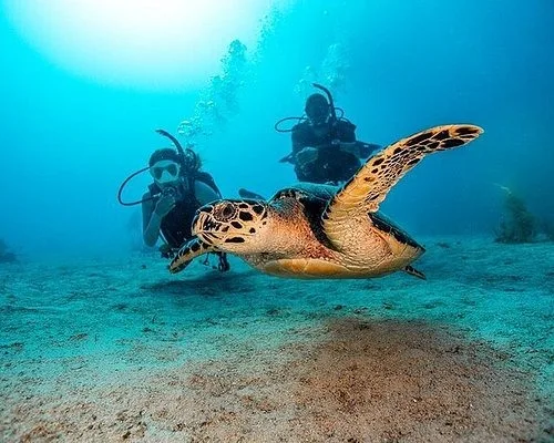 Underwater Diving and Island Exploration around Dubai