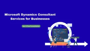 Dynamics consultant
