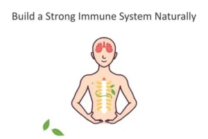 Healthy lifestyle foods and activities that help build a strong immune system naturally