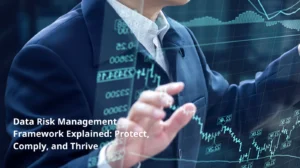 Data Risk Management Framework