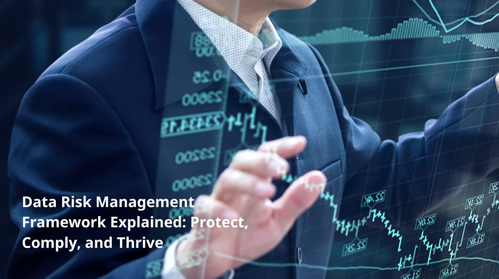 Data Risk Management Framework